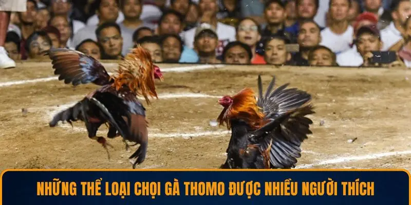 Những thể loại chọi gà Thomo được nhiều người thích