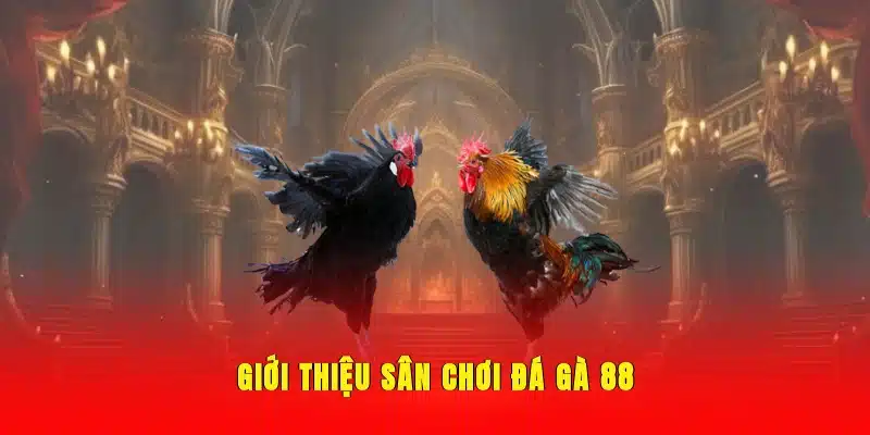 Giới thiệu sân chơi đá gà 88