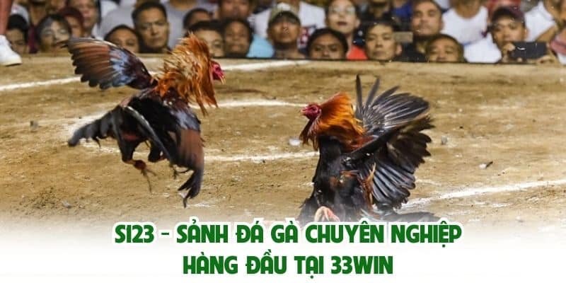 S123 - Sảnh đá gà chuyên nghiệp hàng đầu tại 33win